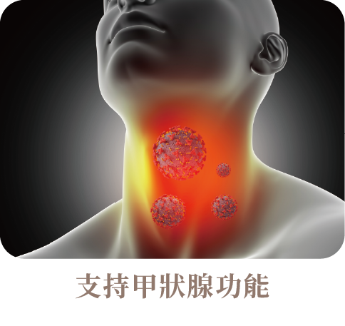 從打呼看健康:硒這個微量元素,竟能影響你的睡眠呼吸!_工作區域 1 複本 3.png