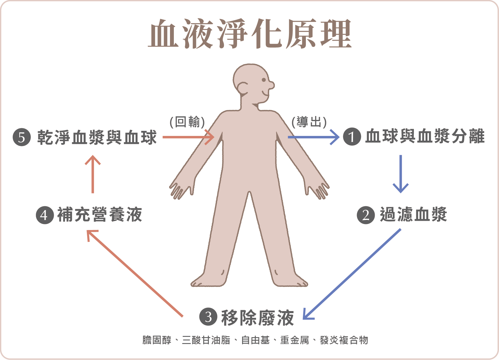 長期疲勞、睡不好?血液淨化如何幫助亞健康族群調理體質-03.png