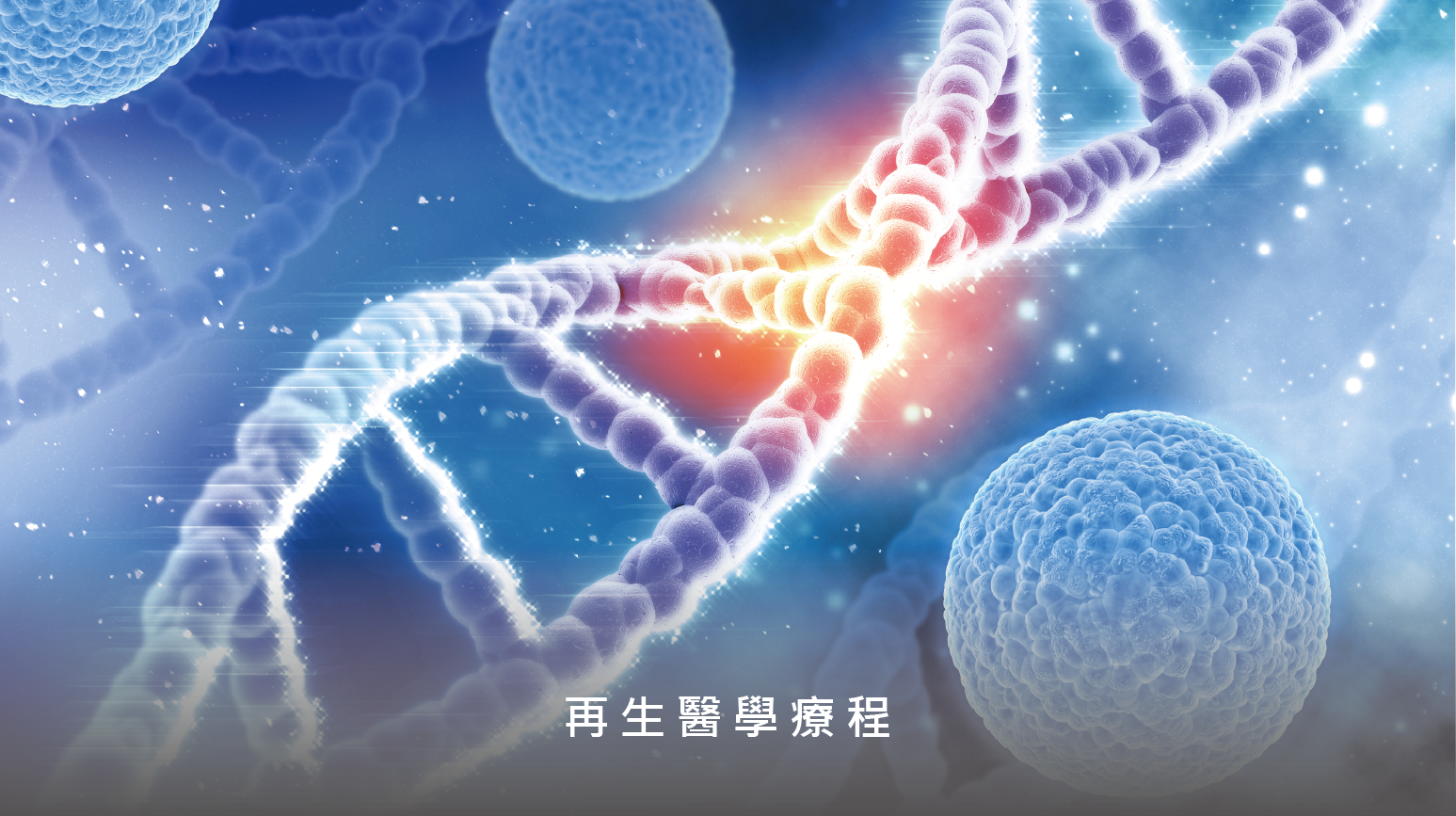 美國貴賓專屬|晶翎美學診所尊榮醫學美學旅程-09.png