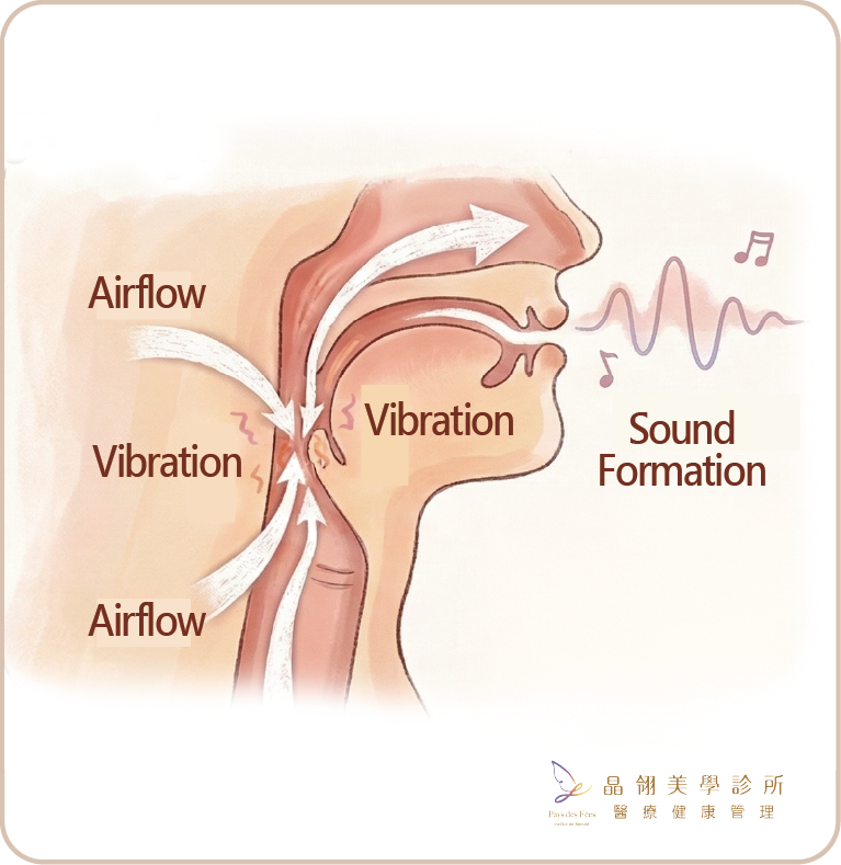Snoring Laser Treatment-05.png