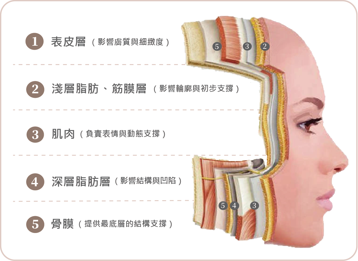 Emface 菲斯波效果真的沒用嗎?為什麼很多人做了卻覺得沒效?_工作區域 1 複本.png