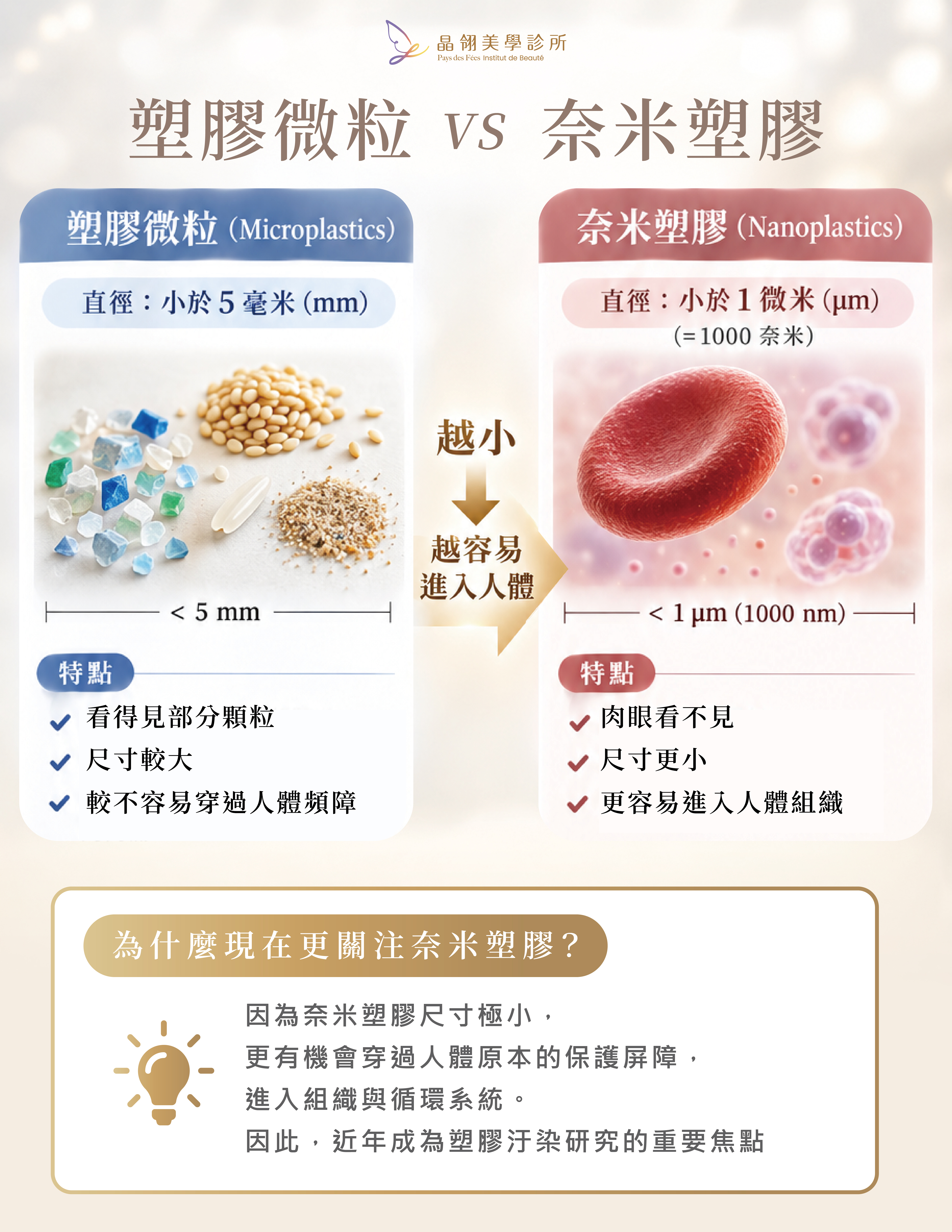 塑膠微粒對人體的影響有多大?從來源、風險到日常減塑的完整解析-03.jpg
