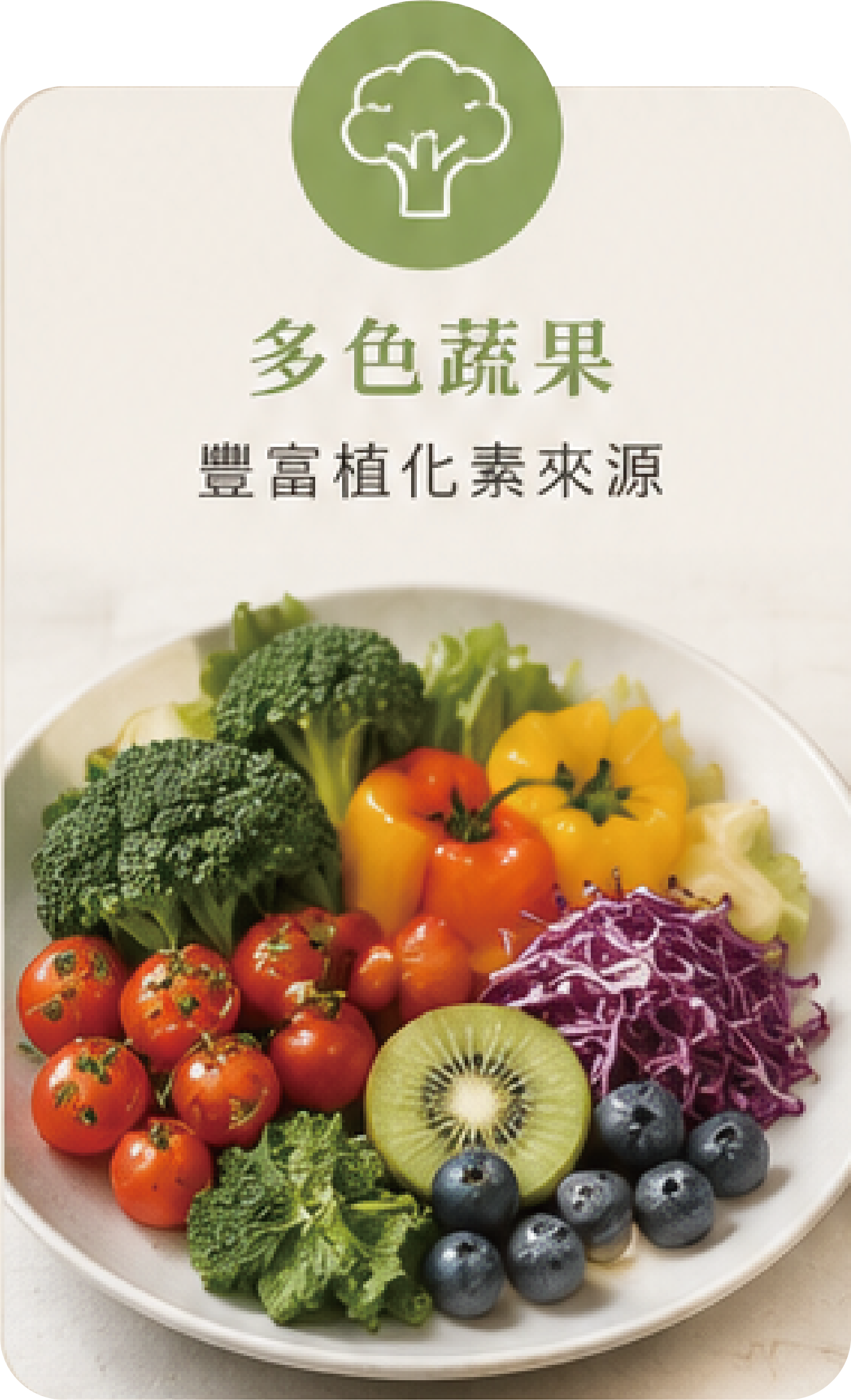 塑膠微粒對人體的影響有多大?從來源、風險到日常減塑的完整解析-07.png